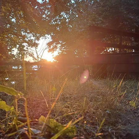 Zakontek Lubkowa * Lubkowo